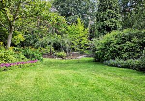Optimiser l'expérience du jardin à Neufgrange